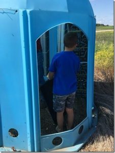 Child inside a bee dome with 30,000 leafcutter bees – July 2017