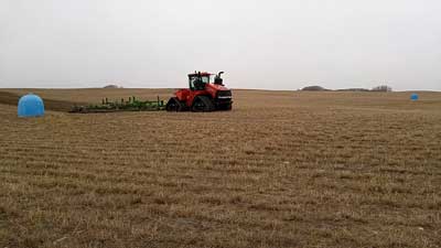 Lightly cultivating an alfalfa field – April 2017