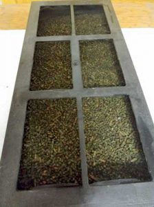 Incubation tray with screened lid, ready for hatching