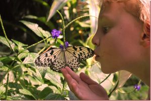 Butterfly kisses