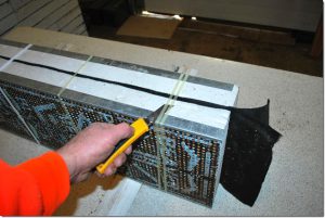 Cutting the straps off a pair of bee nests
