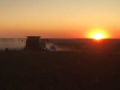 Sunset at the end of the day’s harvesting